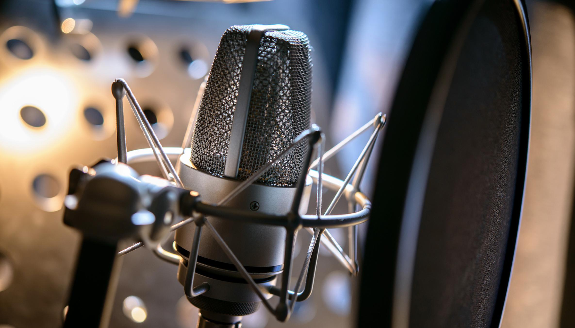 Microphone for voice input